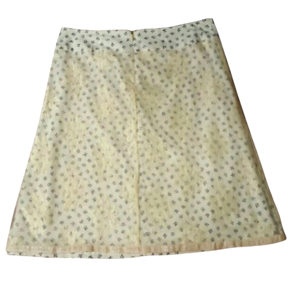 NEW Vintage Skirt with Sheer Lace Overlay - Picture 7 of 12